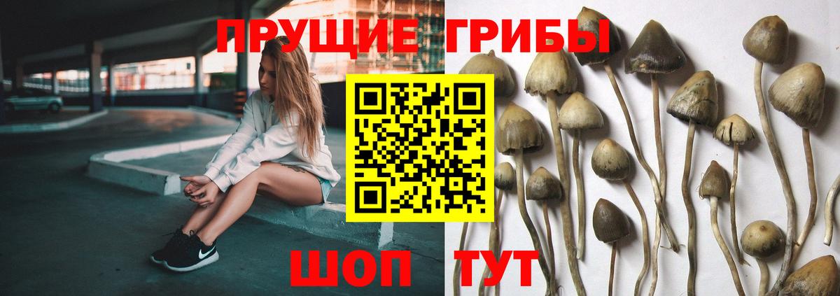 Галлюциногенные грибы мухоморы  Вход с VPN  Сокол  Псилоцибиновые грибы MAGIC MUSHROOMS 